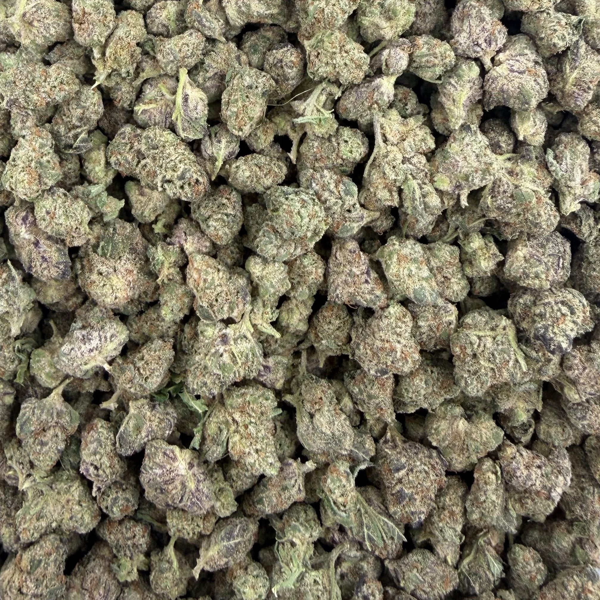 Blue Diamonds bulk THCA flower — Plain Jane 1 lb