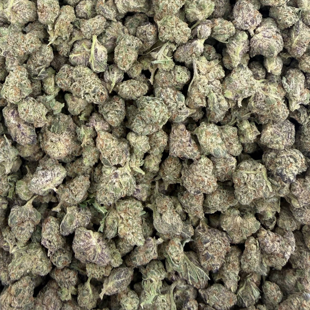 Blue Diamonds bulk THCA flower — Plain Jane 1 lb