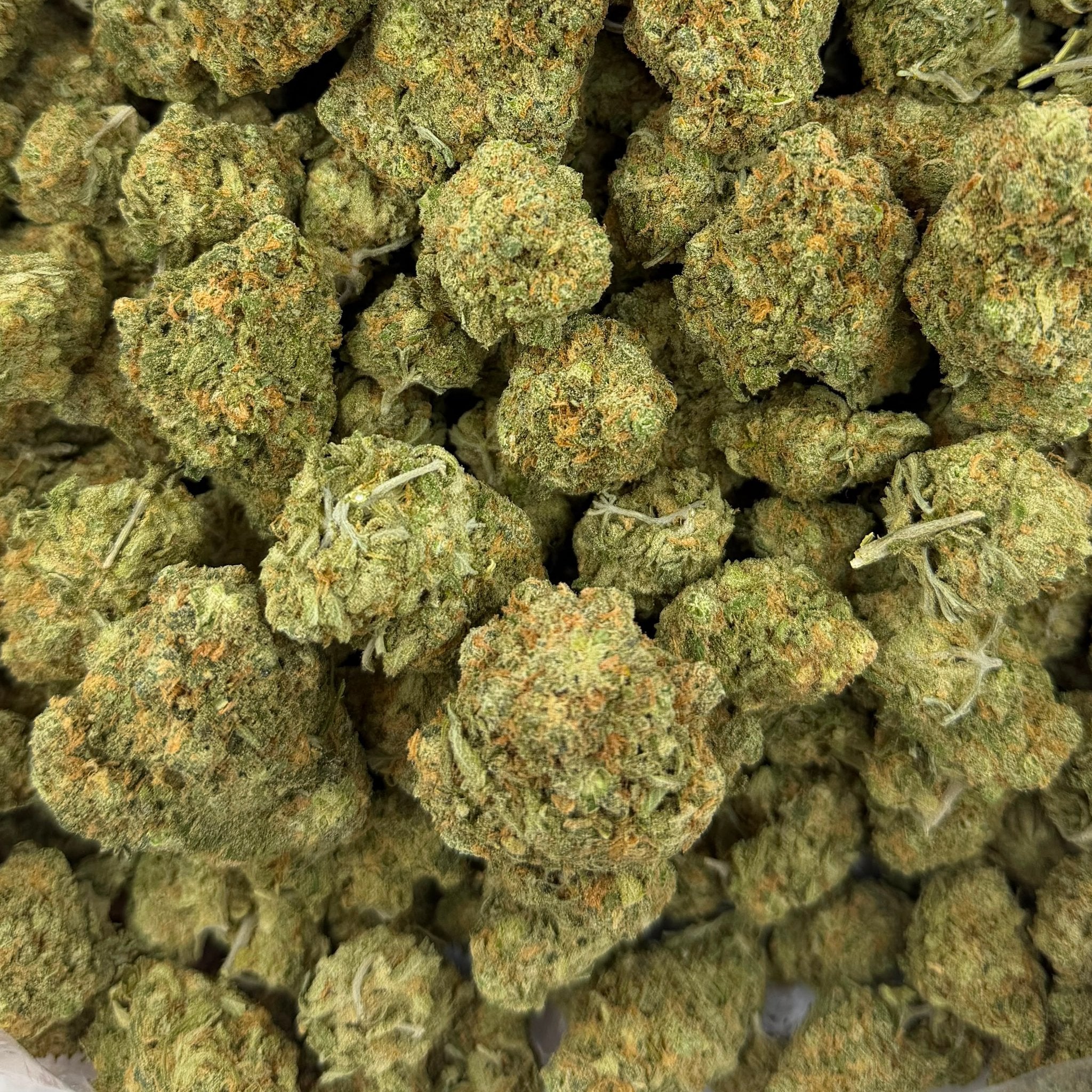 Blue Dream bulk THCA flower — Plain Jane 1 lb