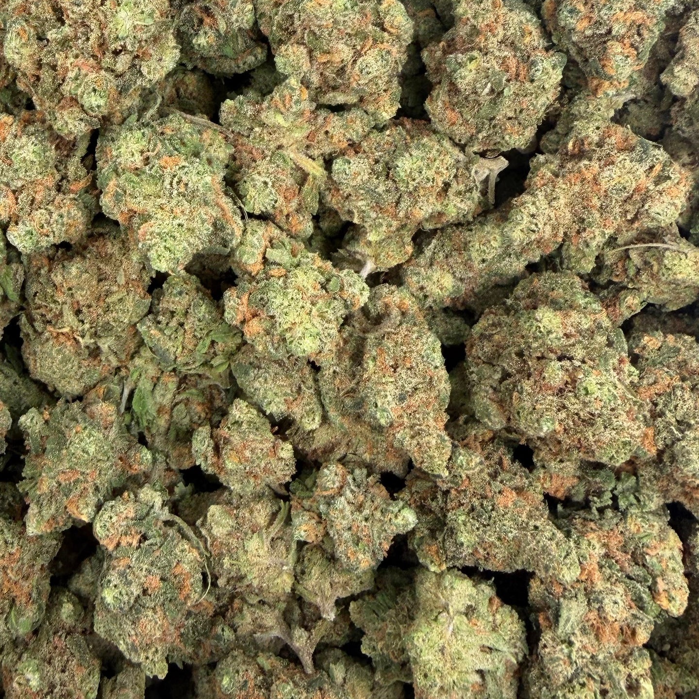Blue Dream bulk THCA flower — Plain Jane 1 lb