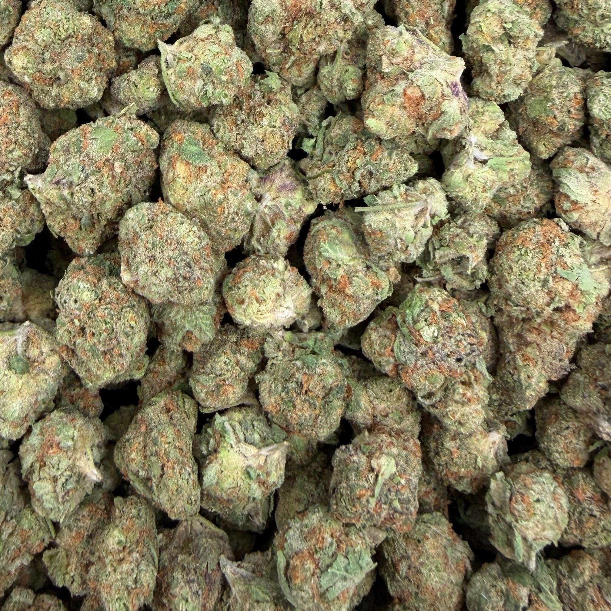Blue Dream bulk THCA flower — Plain Jane 1 lb