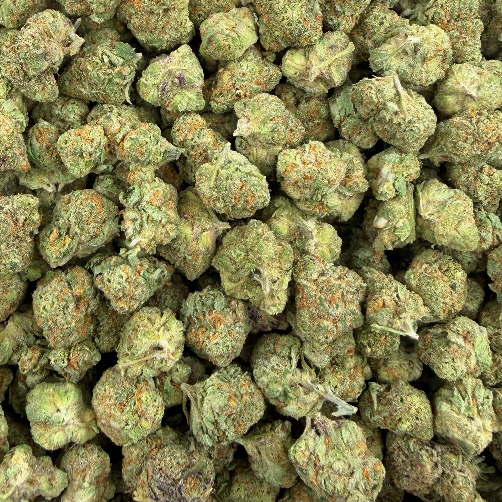 Blue Dream bulk THCA flower — Plain Jane 1 lb