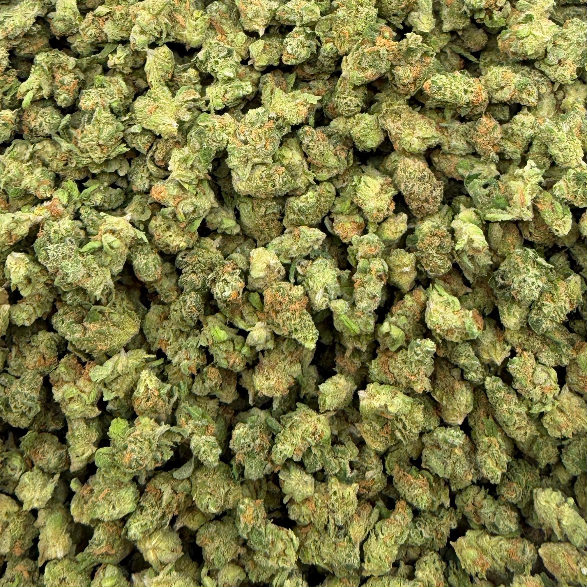 Blue Dream bulk THCA flower — Plain Jane 1 lb