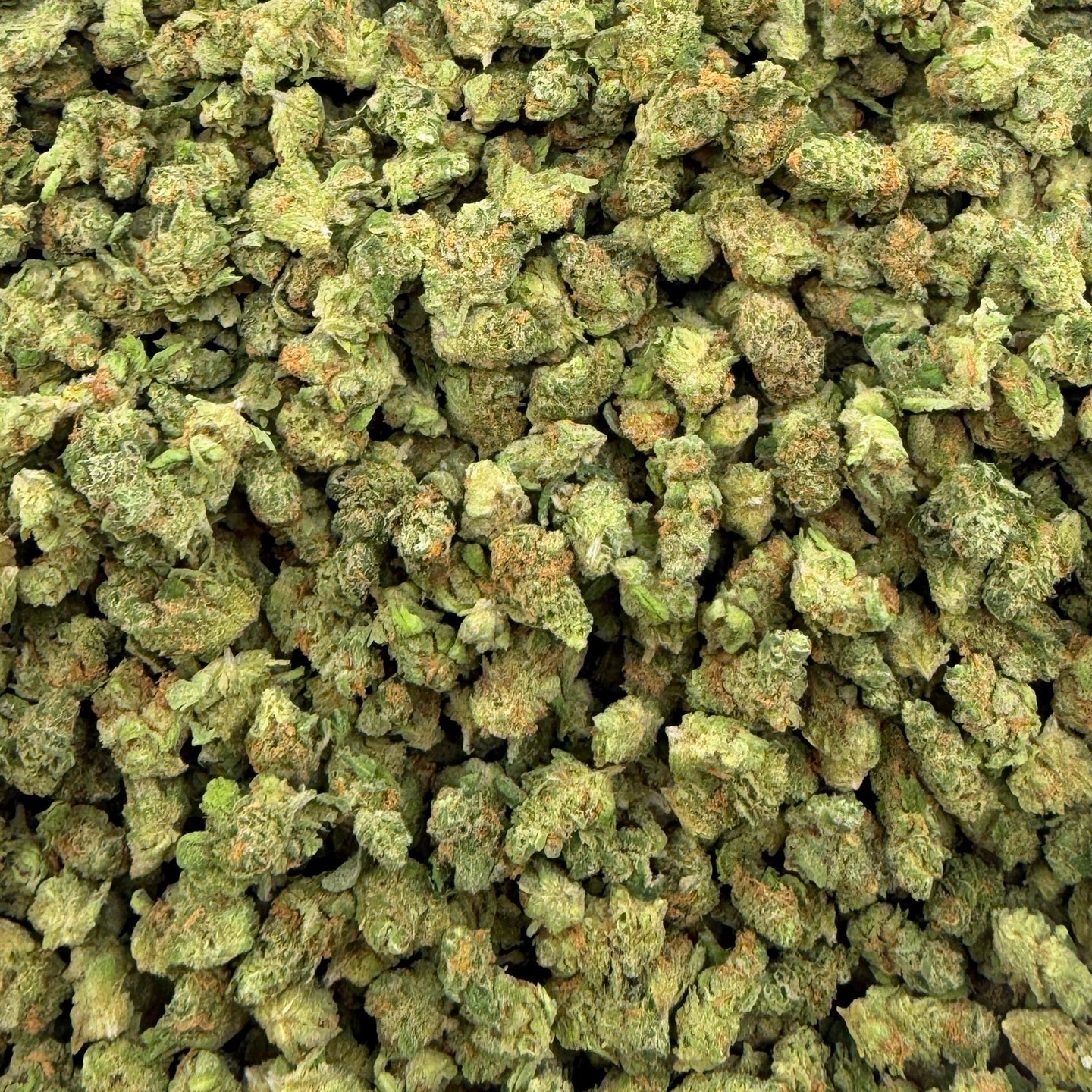 Blue Dream bulk THCA flower — Plain Jane 1 lb