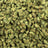 Blue Dream bulk THCA flower — Plain Jane 1 lb
