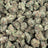 Blue Dream bulk THCA flower — Plain Jane 1 lb