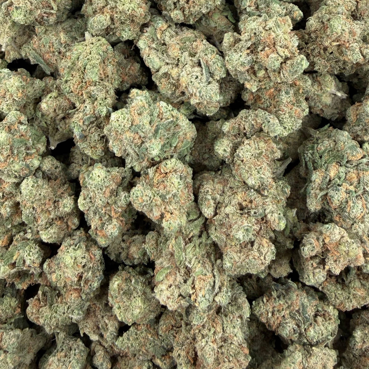 Blue Dream bulk THCA flower — Plain Jane 1 lb