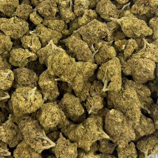 Blue Mamba bulk THCA flower — Plain Jane 1 lb