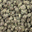Blue Nerds bulk THCA flower — Plain Jane 1 lb