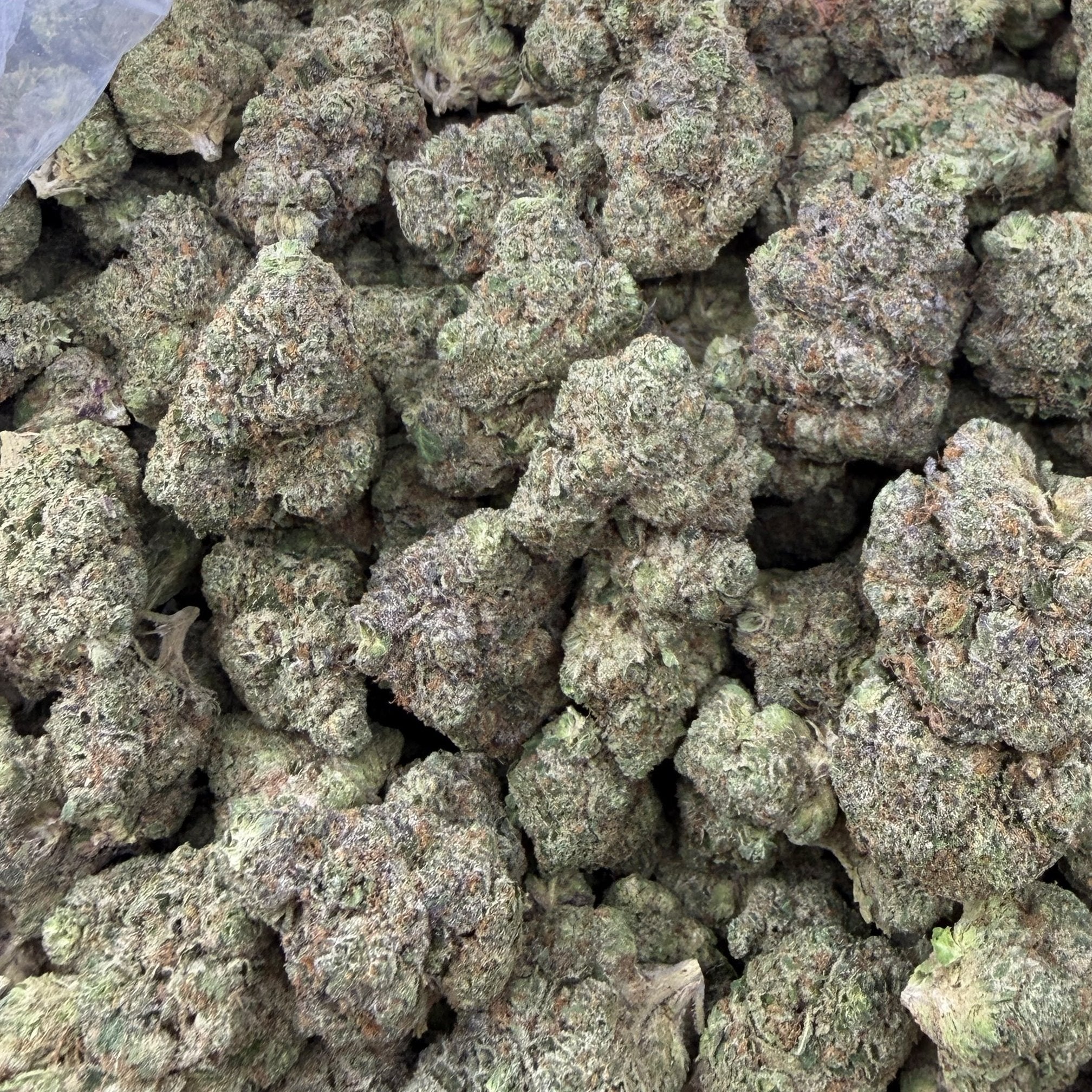 Blue Nerds bulk THCA flower — Plain Jane 1 lb