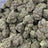 Blue Nerds bulk THCA flower — Plain Jane 1 lb