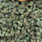 Blue Poppers bulk THCA flower — Plain Jane 1 lb