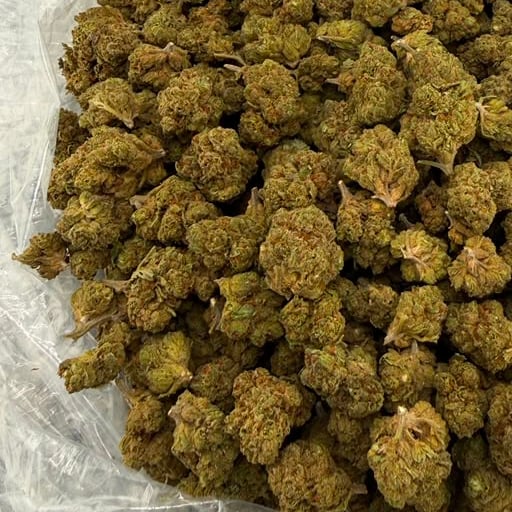 Blue Poppers bulk THCA flower — Plain Jane 1 lb