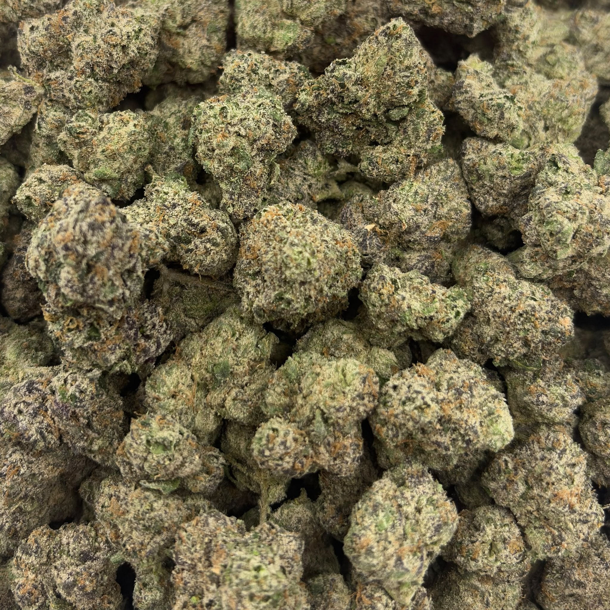 Blue Rose bulk THCA flower — Plain Jane 1 lb