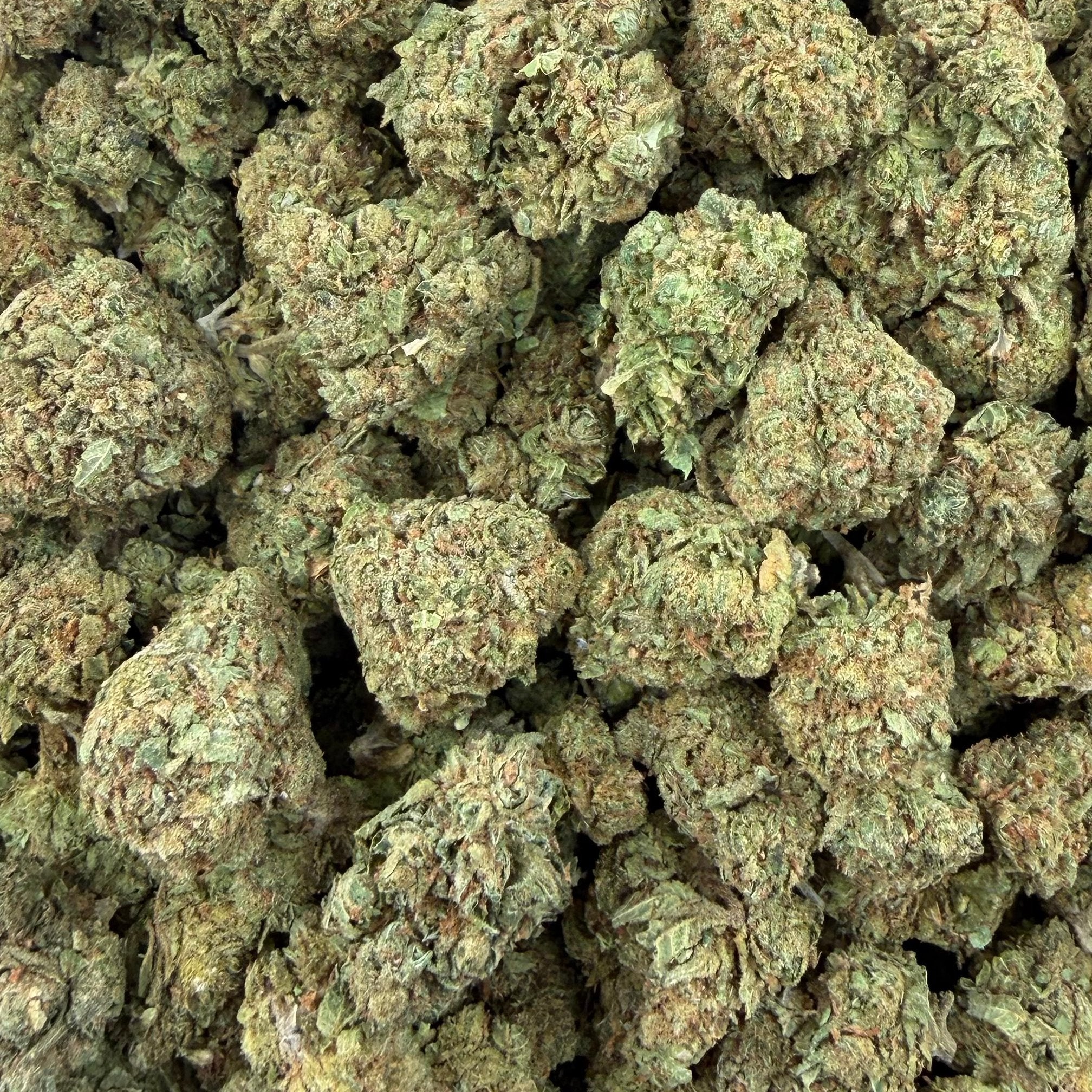 Blue Runtz bulk THCA flower — Plain Jane 1 lb