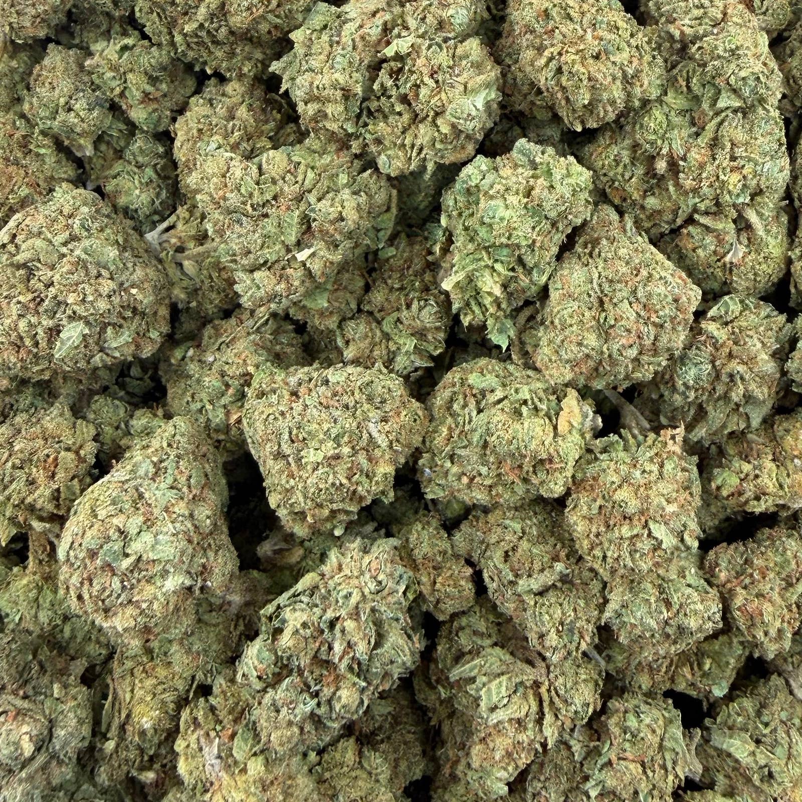 Blue Runtz bulk THCA flower — Plain Jane 1 lb