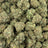 Blue Runtz bulk THCA flower — Plain Jane 1 lb