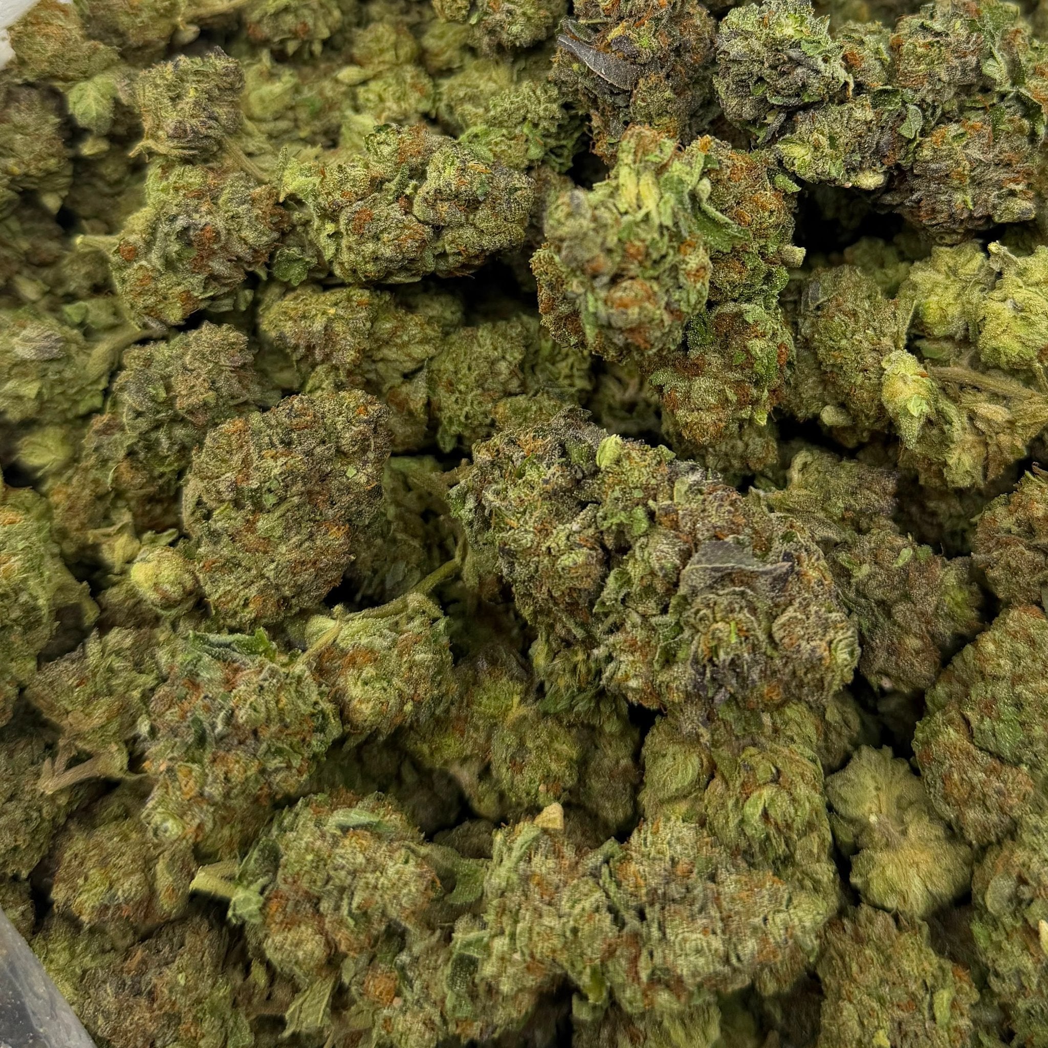 Blue Skunk bulk THCA flower — Plain Jane 1 lb