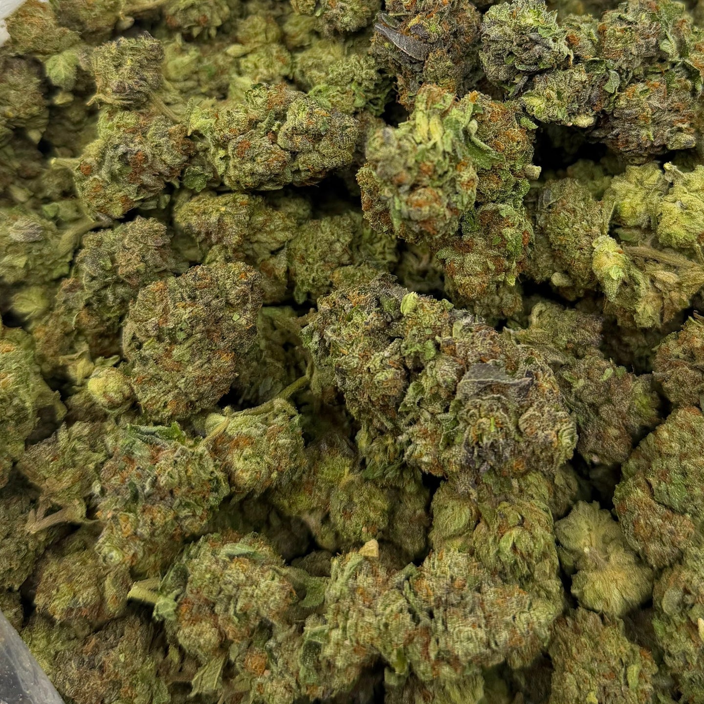 Blue Skunk bulk THCA flower — Plain Jane 1 lb