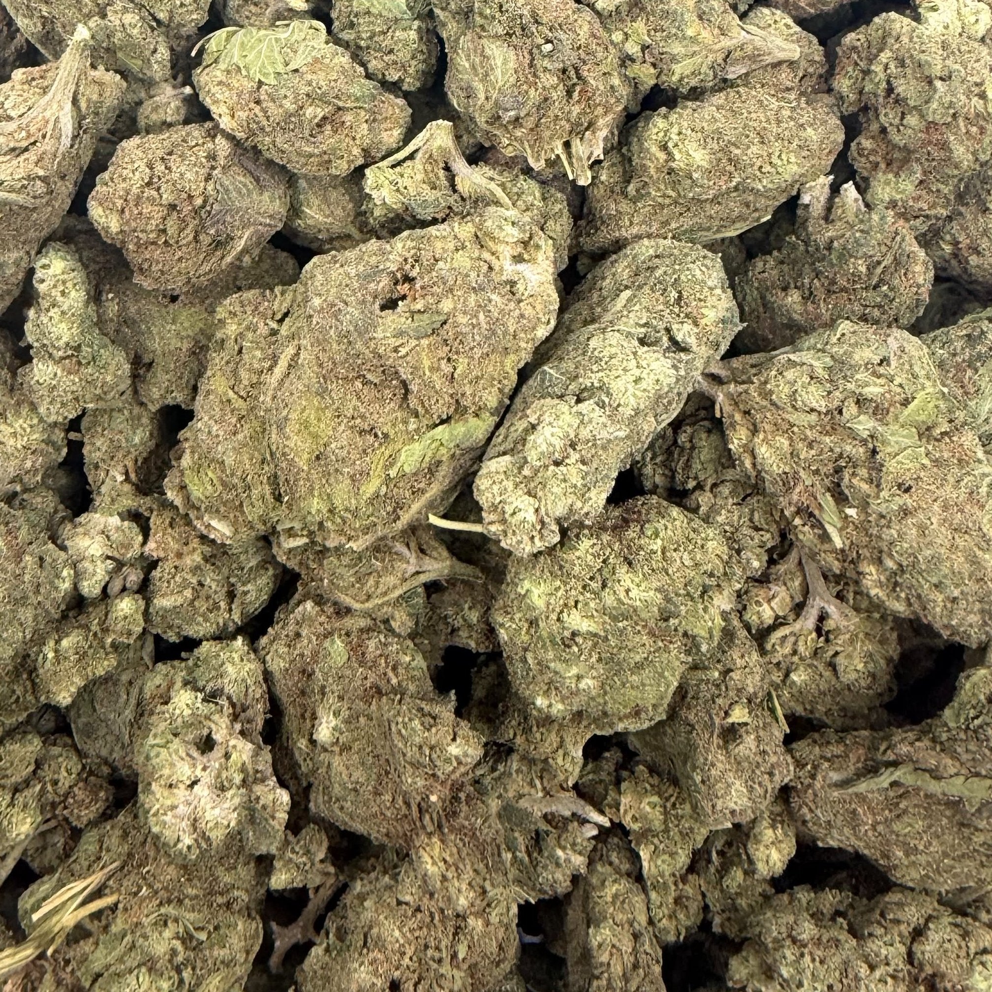 Blue Slushie bulk THCA flower — Plain Jane 1 lb