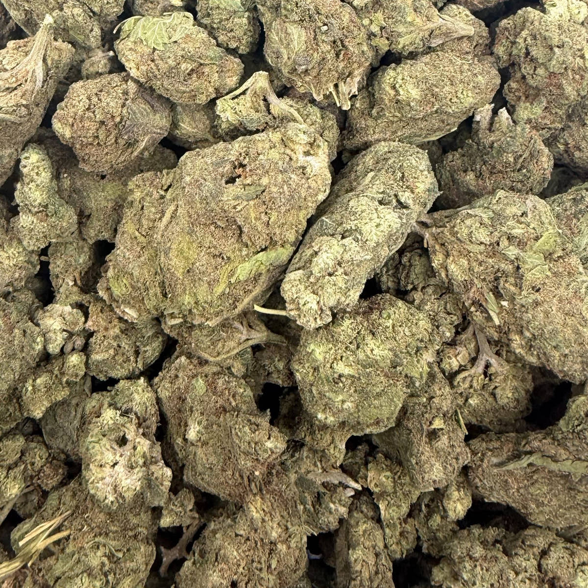 Blue Slushie bulk THCA flower — Plain Jane 1 lb