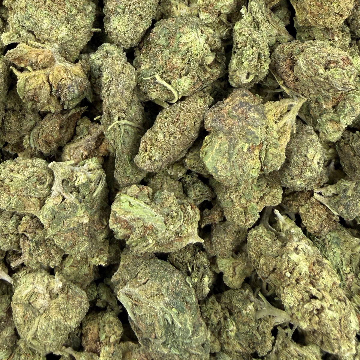 Blue Slushie bulk THCA flower — Plain Jane 1 lb