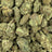 Blue Slushie bulk THCA flower — Plain Jane 1 lb