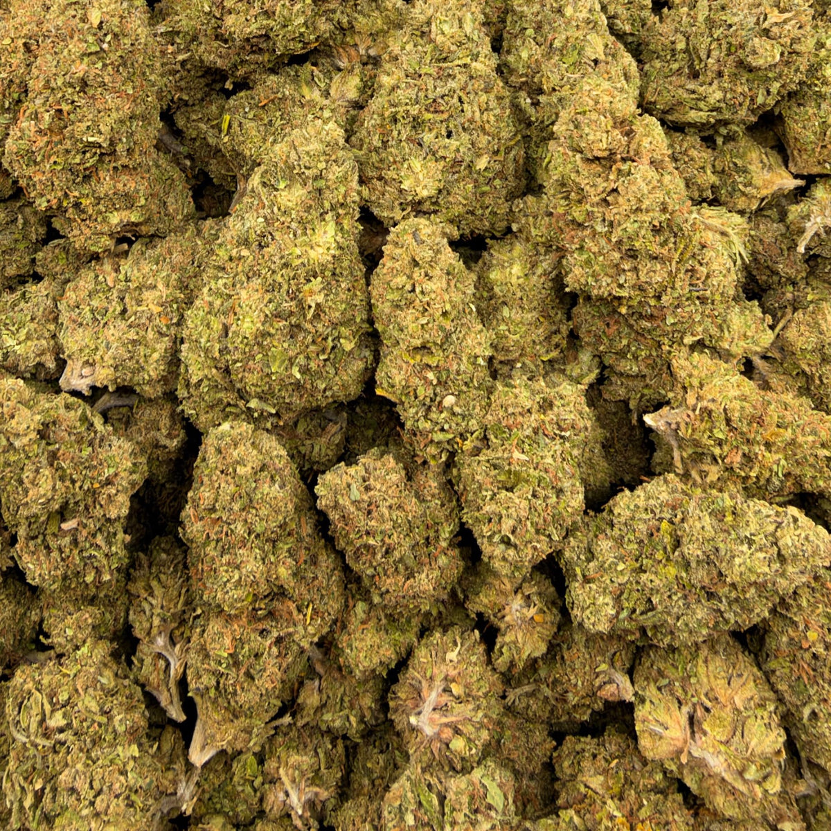 Blue Smurf bulk THCA flower — Plain Jane 1 lb