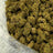 Blue Wookie bulk THCA flower — Plain Jane 1 lb