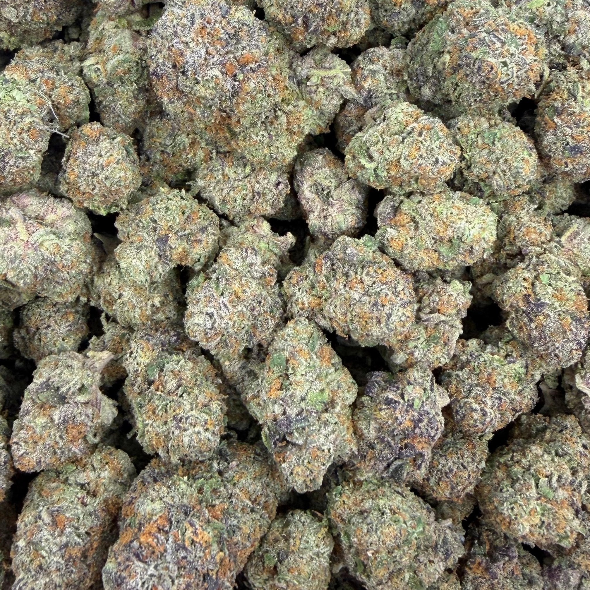 Blue Wookie bulk THCA flower — Plain Jane 1 lb