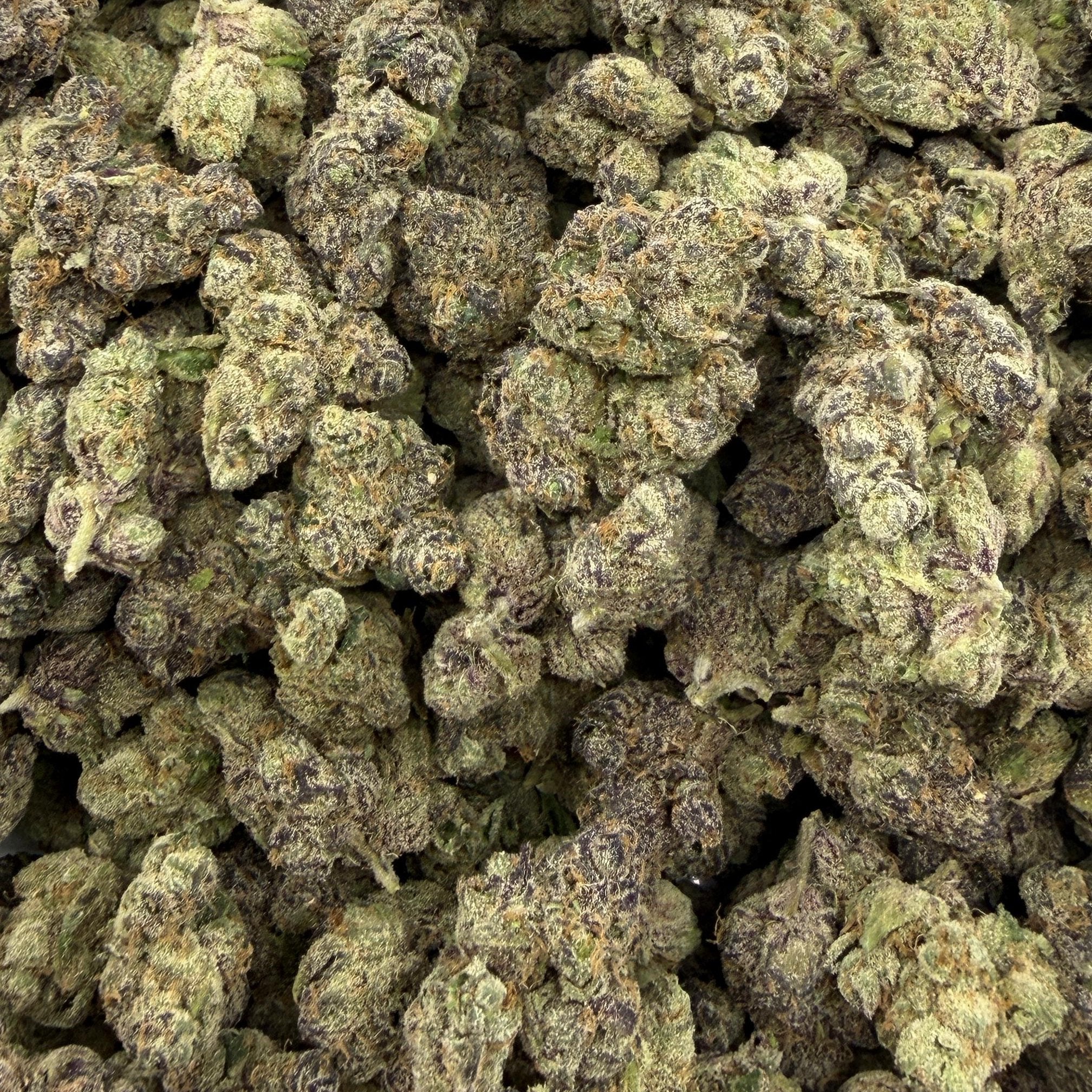 Blue Wookie bulk THCA flower — Plain Jane 1 lb