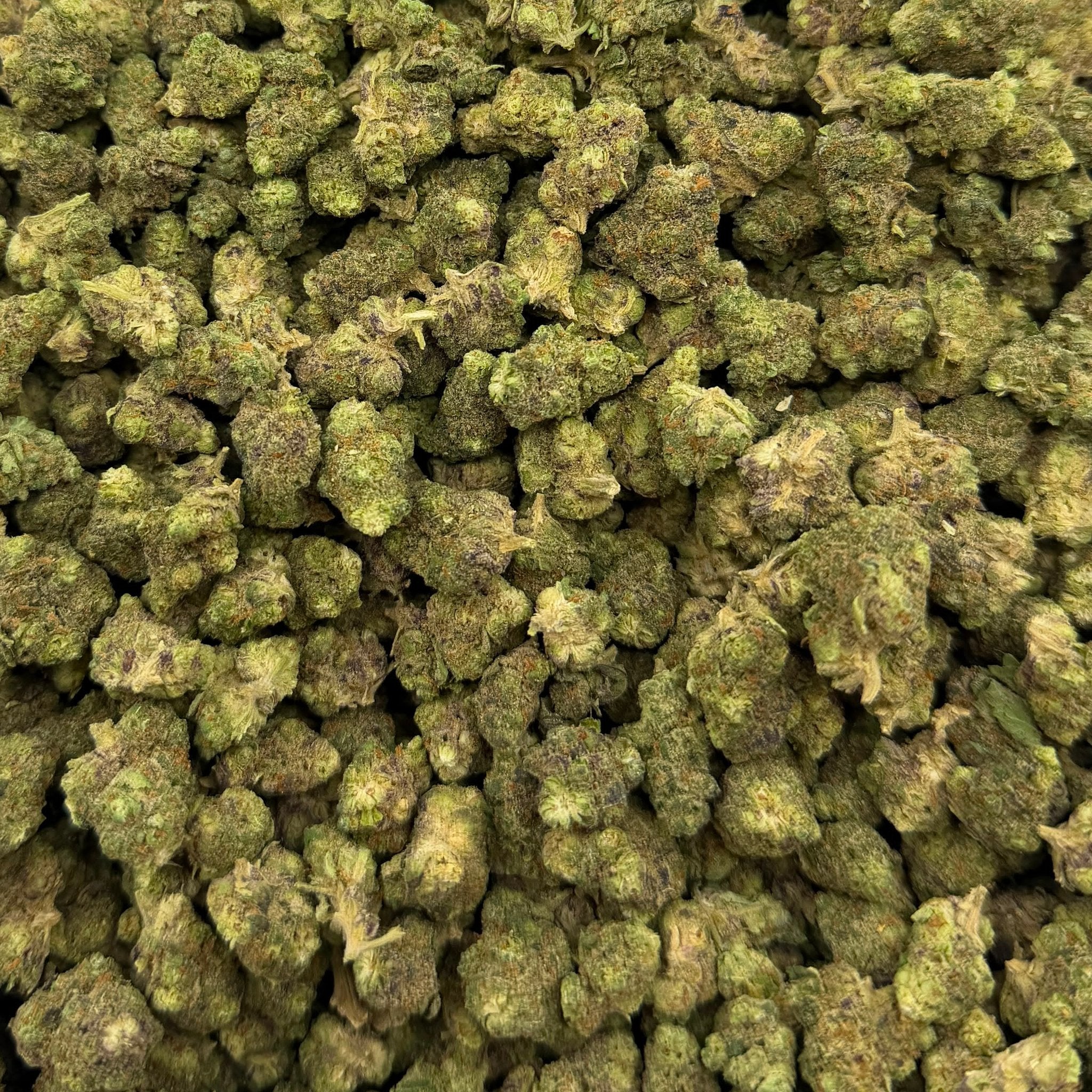 Blue Wookie bulk THCA flower — Plain Jane 1 lb