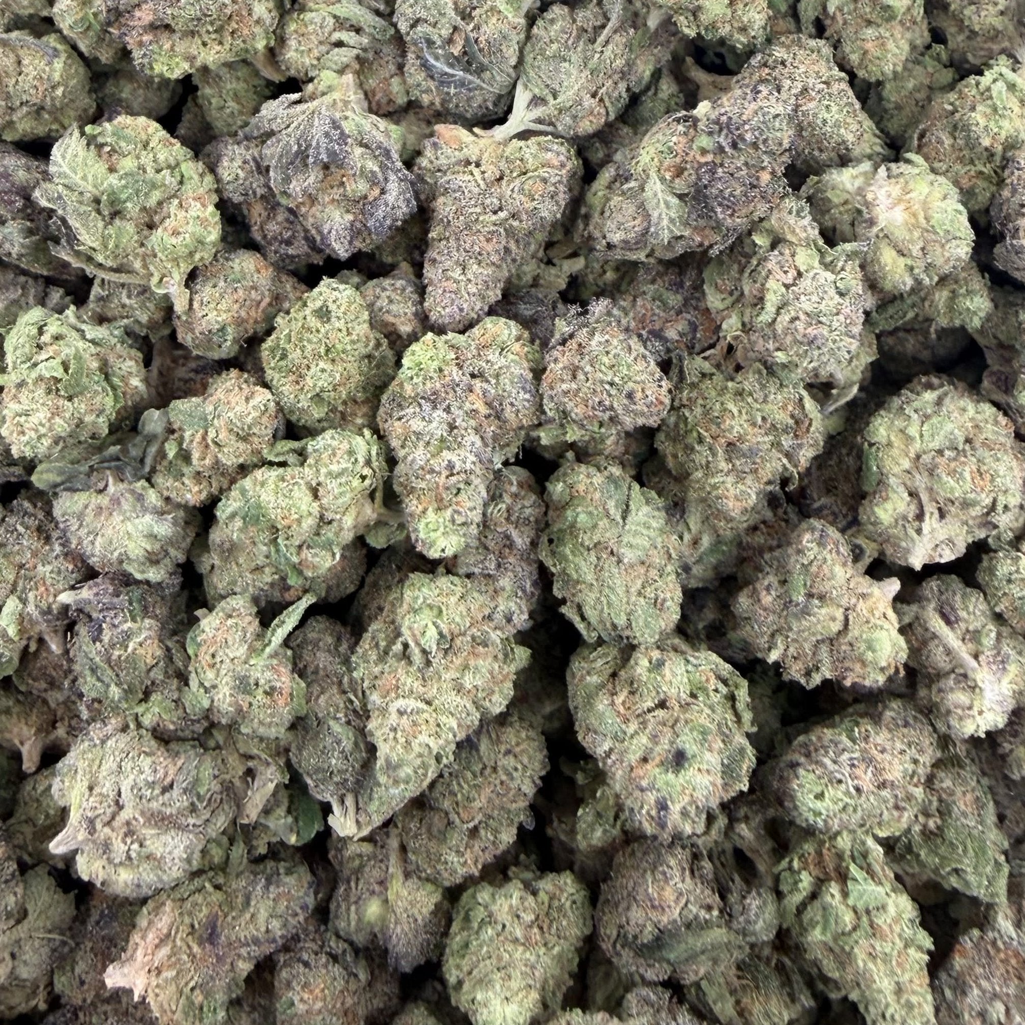 Blue Wookie bulk THCA flower — Plain Jane 1 lb
