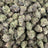 Blue Wookie bulk THCA flower — Plain Jane 1 lb