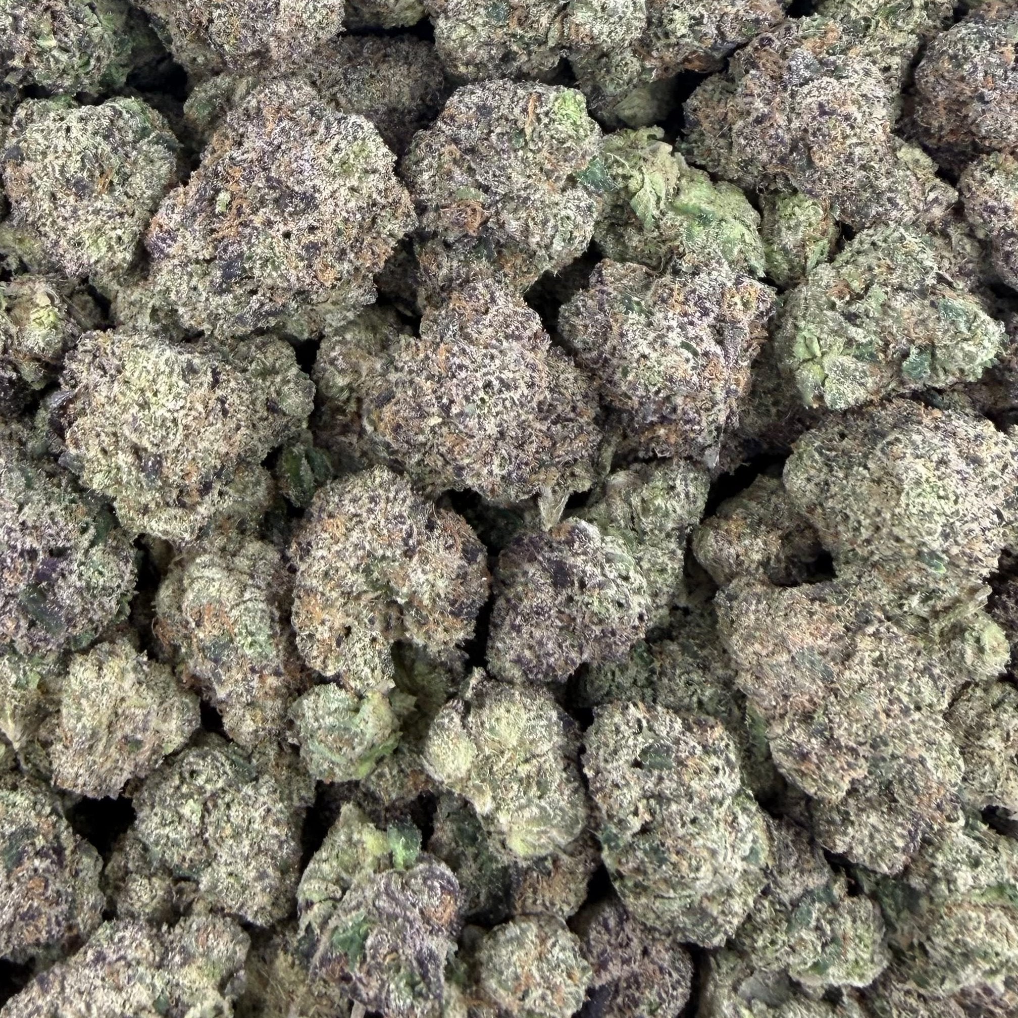 Blue Wookie bulk THCA flower — Plain Jane 1 lb