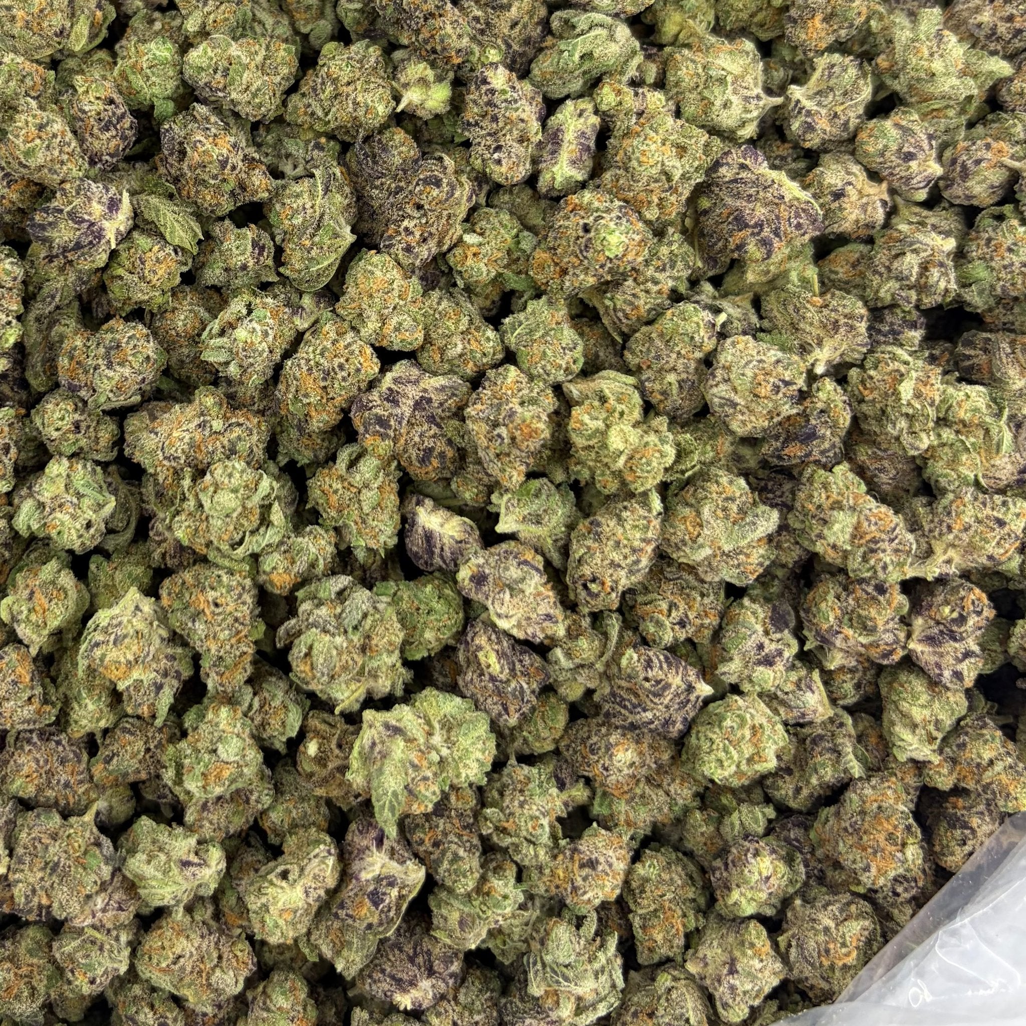Blue Zangria bulk THCA flower — Plain Jane 1 lb
