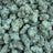 Blueberry Banana bulk THCA flower — Plain Jane 1 lb