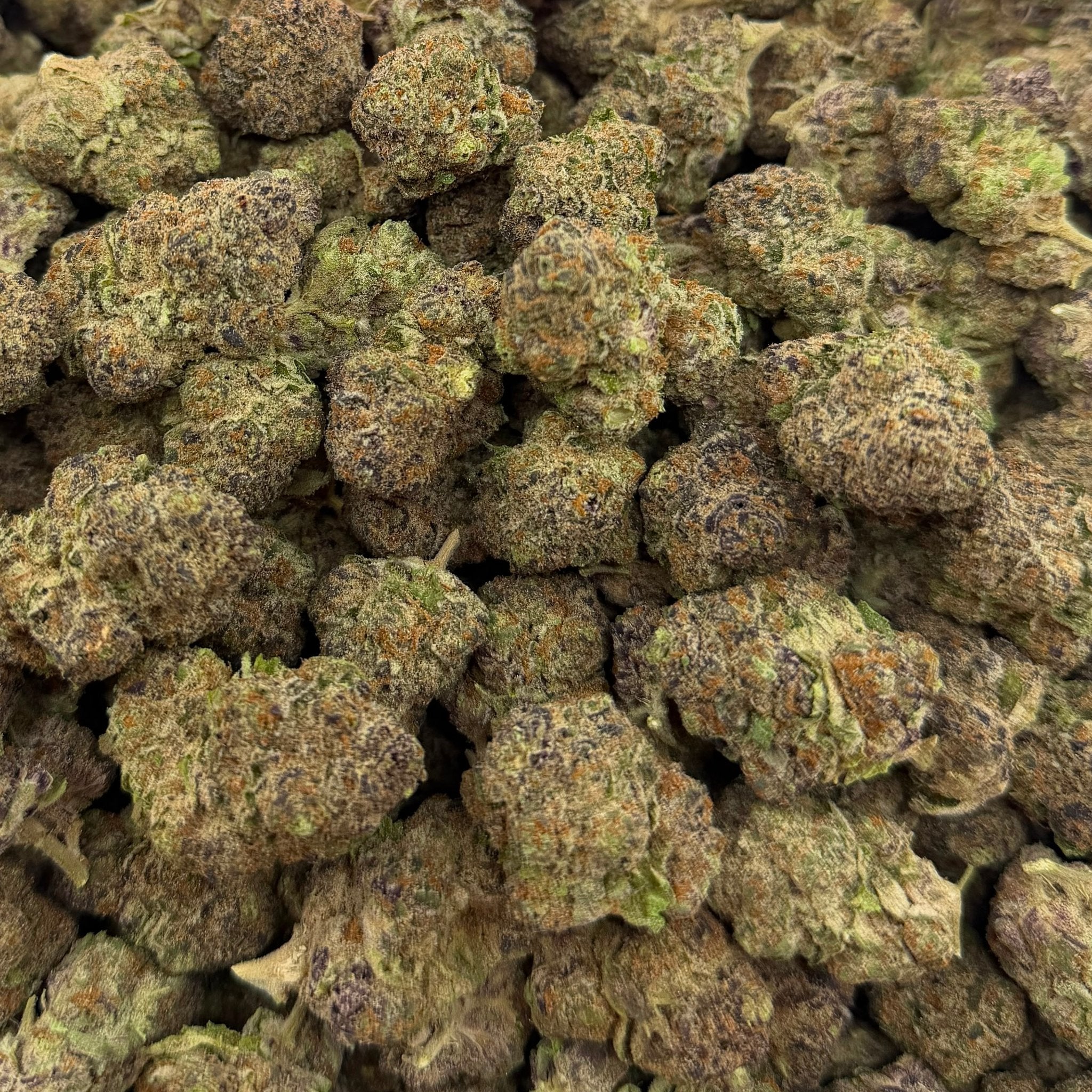 Blueberry Banana bulk THCA flower — Plain Jane 1 lb