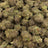 Blueberry Banana bulk THCA flower — Plain Jane 1 lb