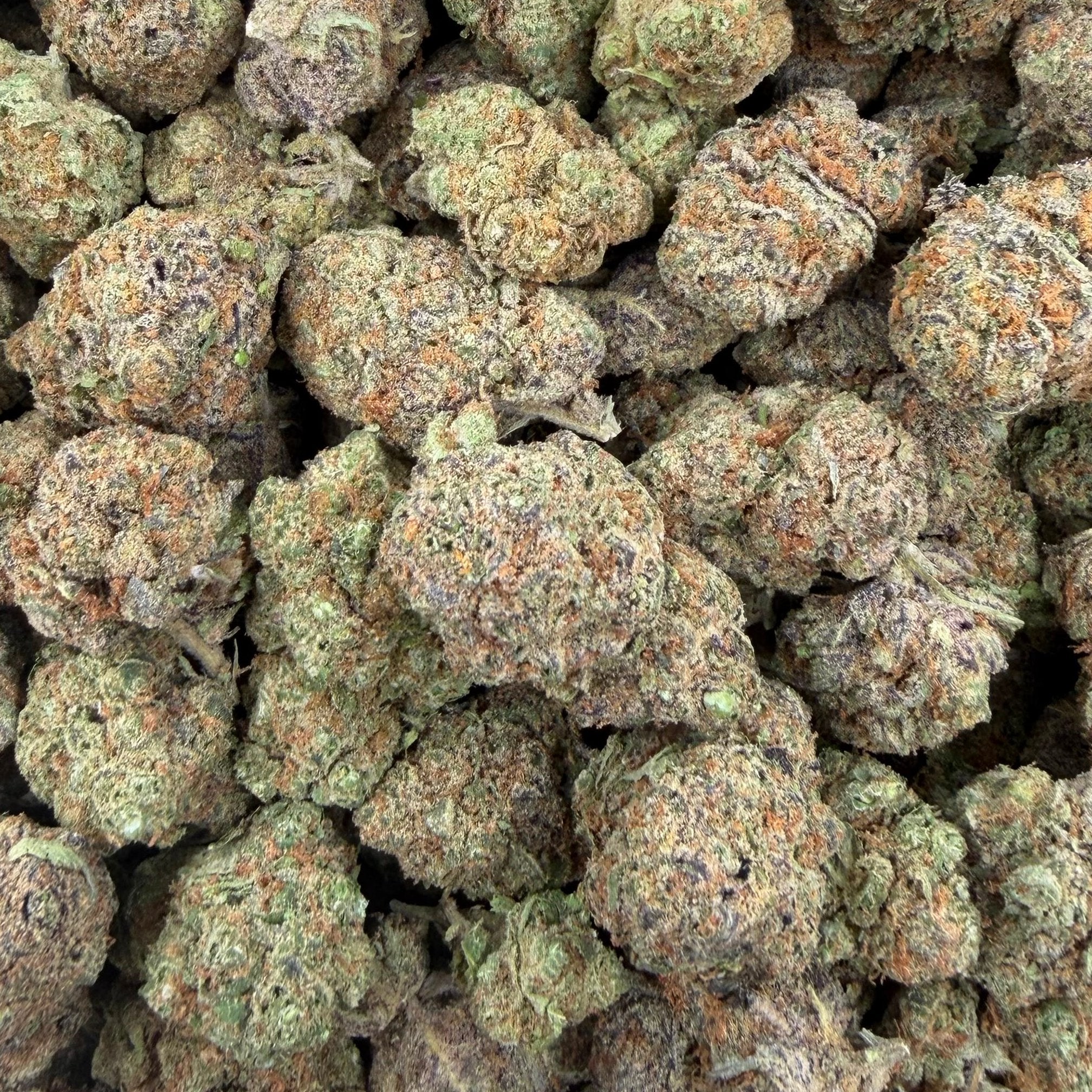 Blueberry Caviar bulk THCA flower — Plain Jane 1 lb