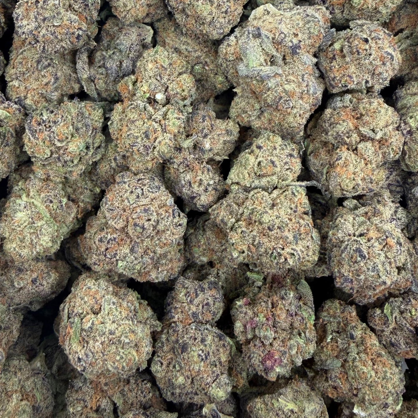 Blueberry Caviar bulk THCA flower — Plain Jane 1 lb
