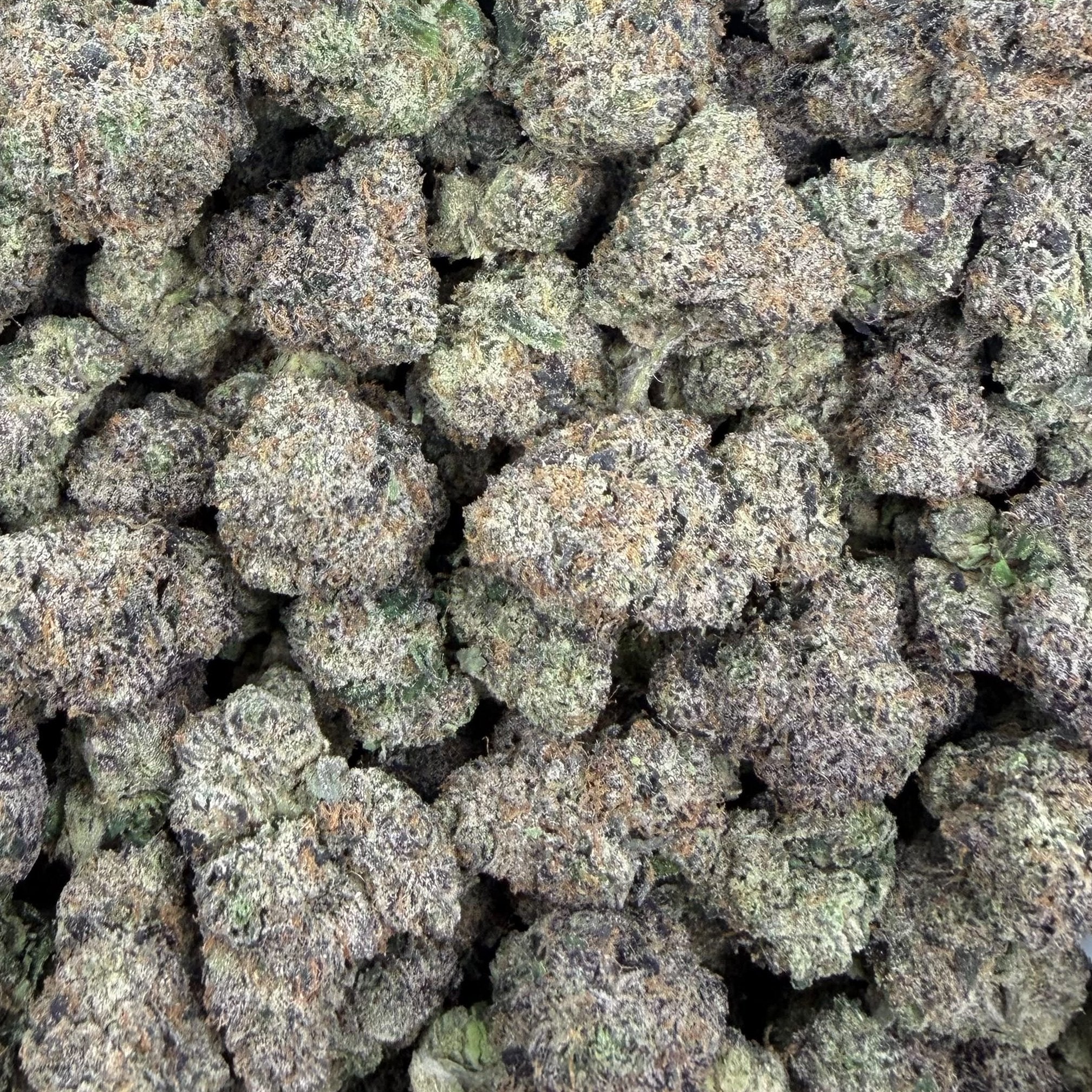 Blueberry Caviar bulk THCA flower — Plain Jane 1 lb