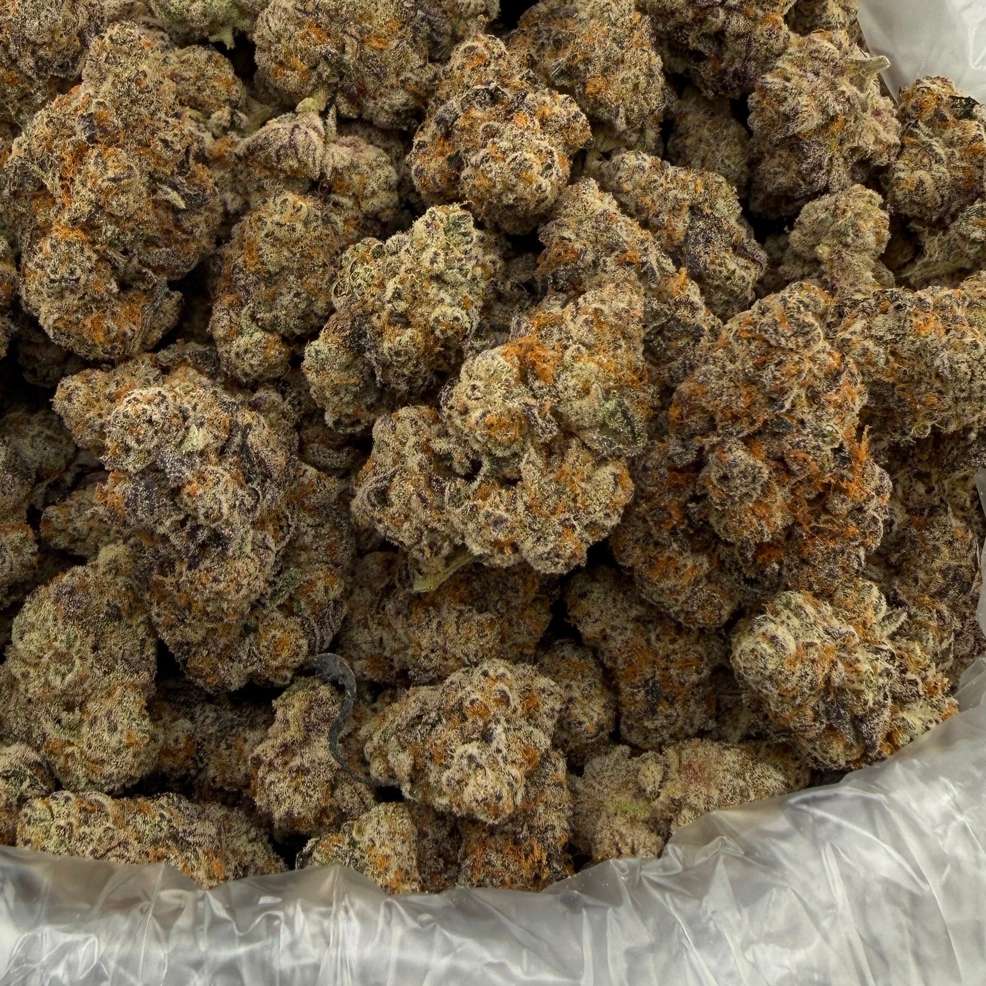 Blueberry Cheesecake bulk THCA flower — Plain Jane 1 lb