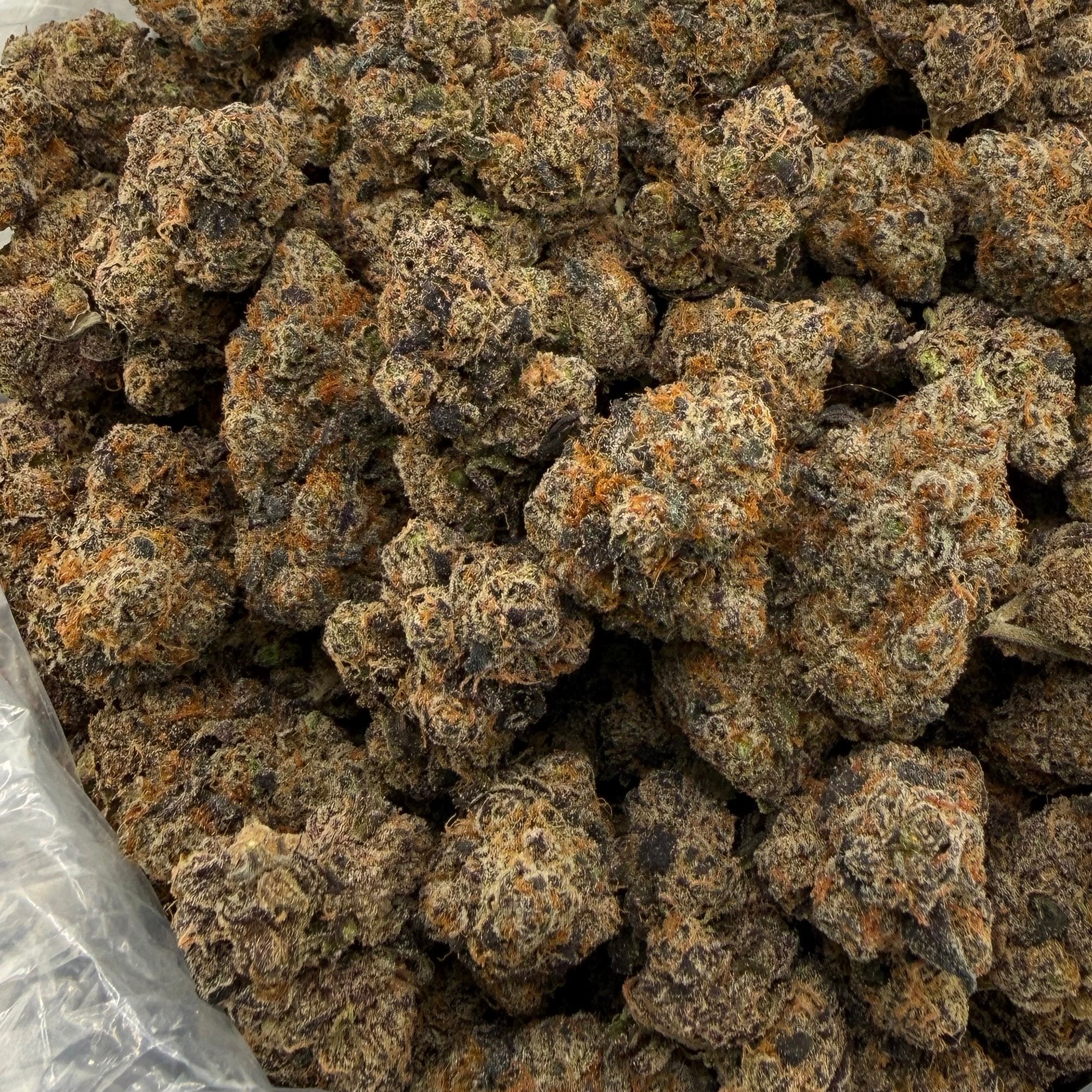 Blueberry Cheesecake bulk THCA flower — Plain Jane 1 lb