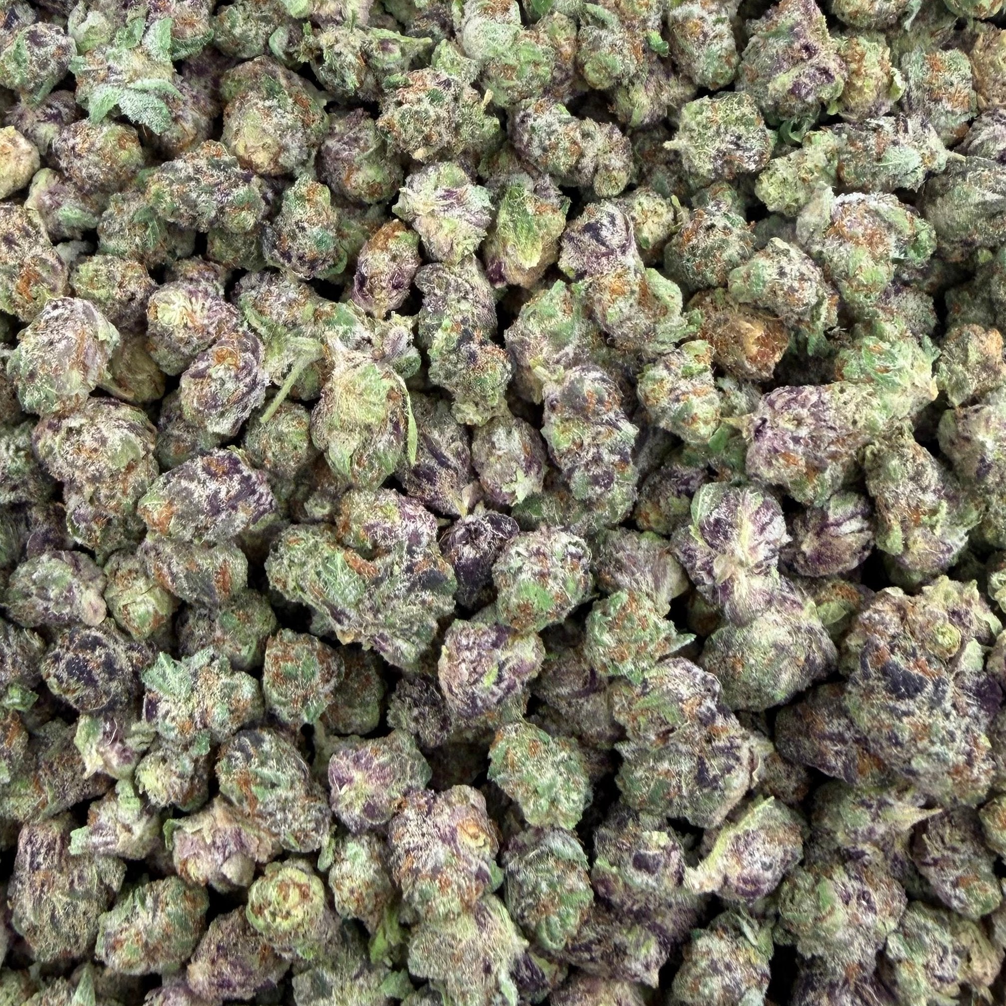 Blueberry Cheesecake bulk THCA flower — Plain Jane 1 lb