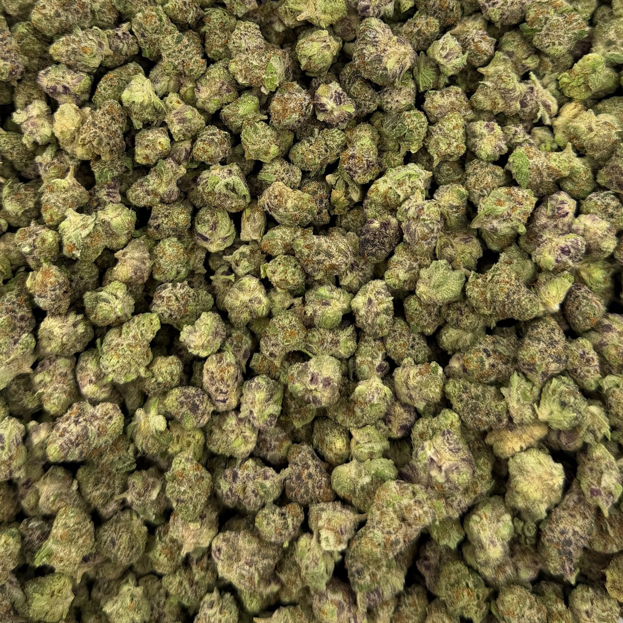 Blueberry Cheesecake bulk THCA flower — Plain Jane 1 lb