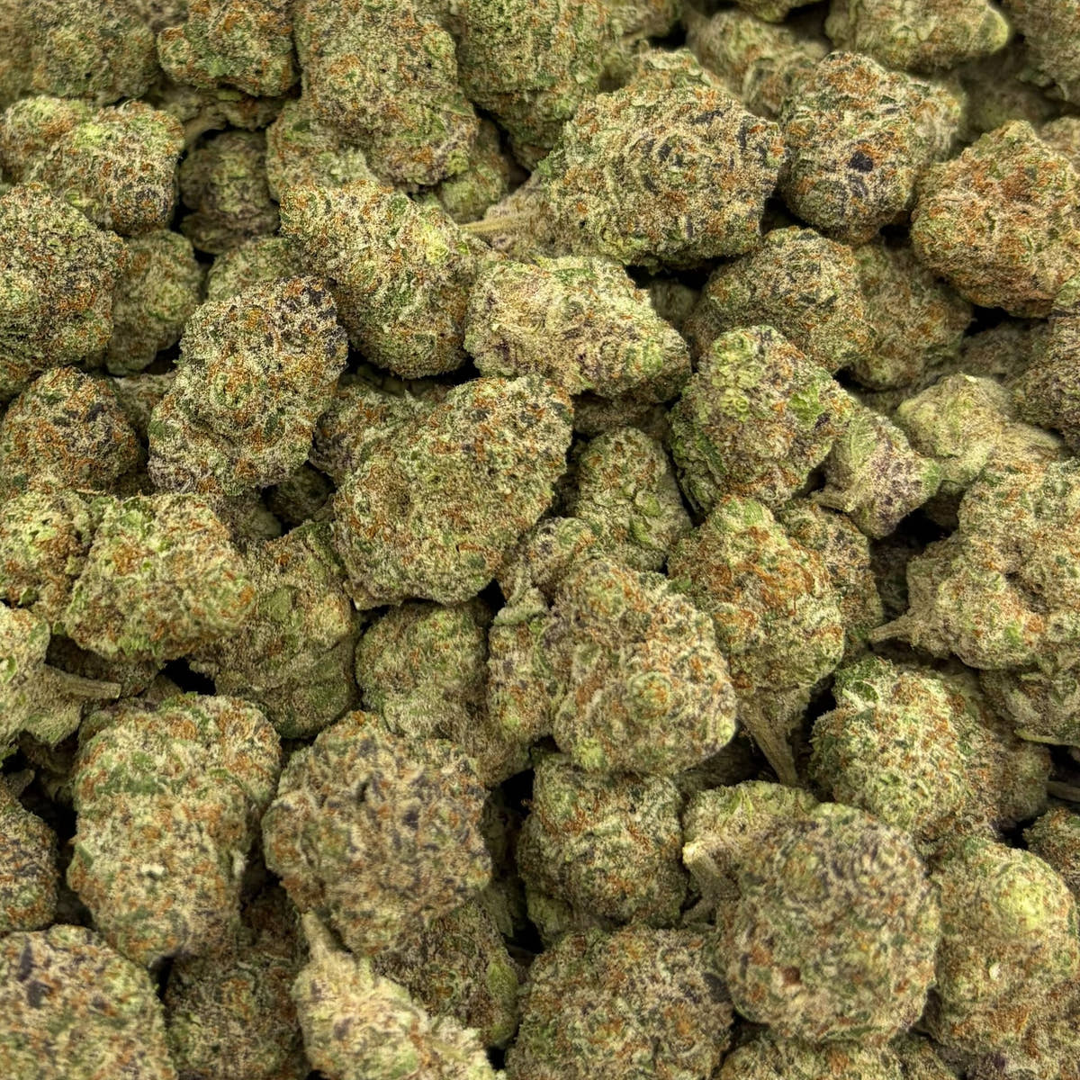 Blueberry Cheesecake bulk THCA flower — Plain Jane 1 lb