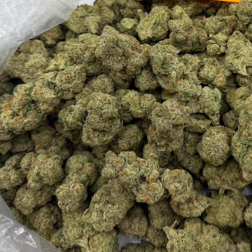 Blueberry Diesel bulk THCA flower — Plain Jane 1 lb