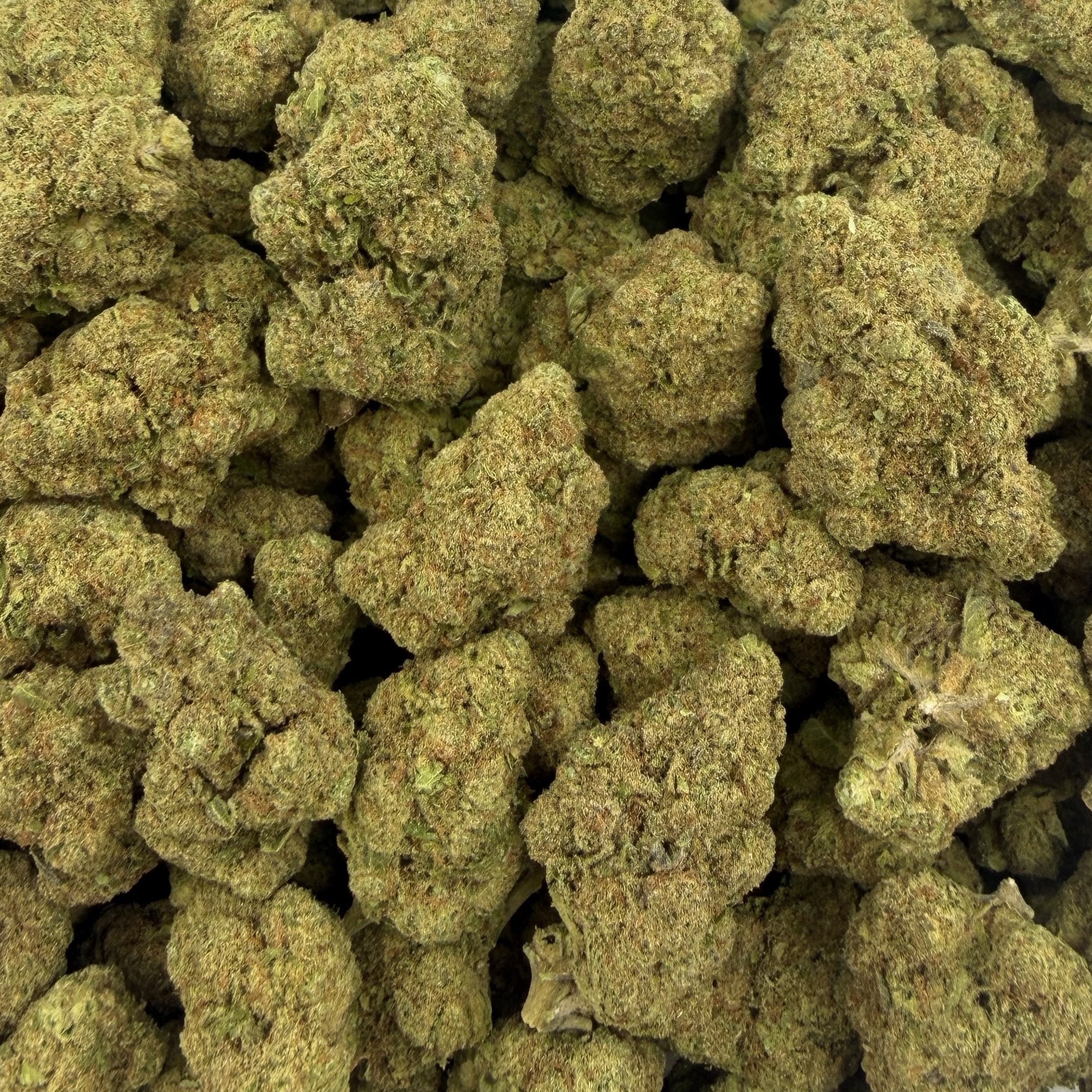 Blueberry Diesel bulk THCA flower — Plain Jane 1 lb