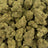 Blueberry Diesel bulk THCA flower — Plain Jane 1 lb